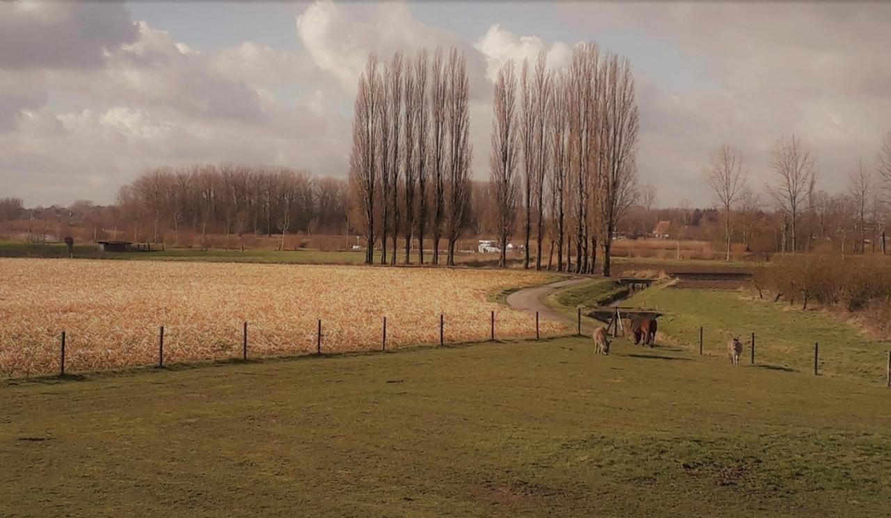 Op 'T Roth Villa Oudenaarde Luaran gambar
